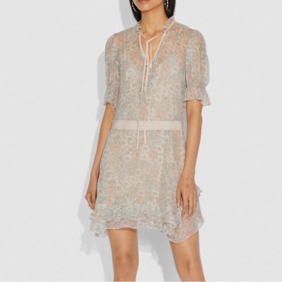 COACH 1941 LUXURY SILK AMERICANA PRINT TIERED DRESS SIZE 4 - Picture 3 of 9